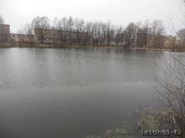 DSCN1151.JPG