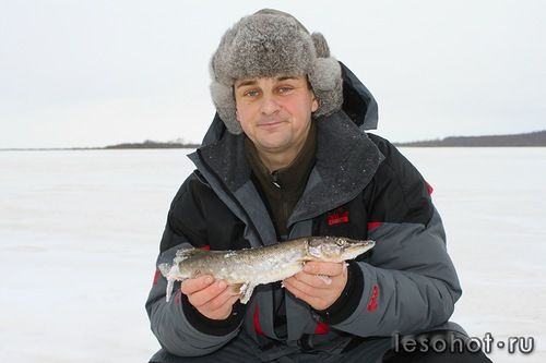 0_952ea_db8ea762_L.jpg