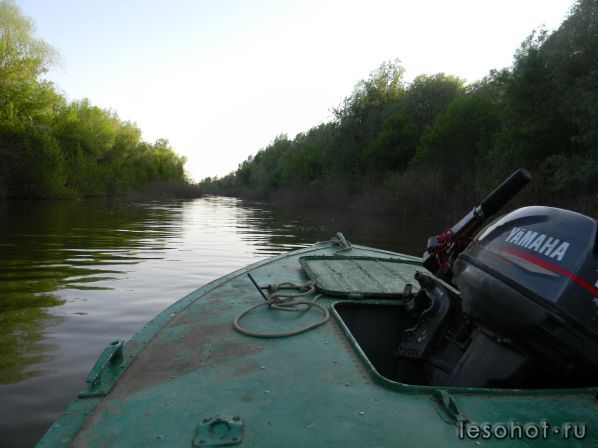 DSCN9705.JPG