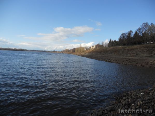 DSCN1145.JPG