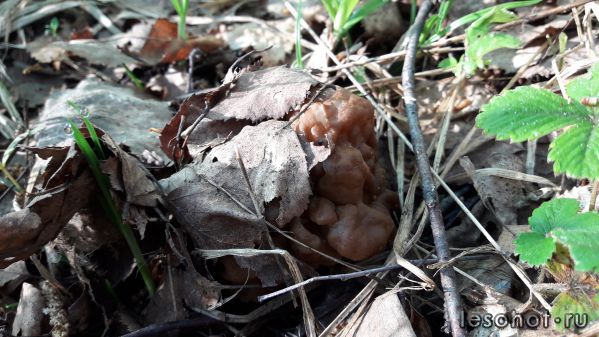 20180514_065203.jpg