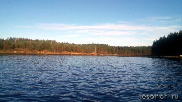 photo_00320.jpg