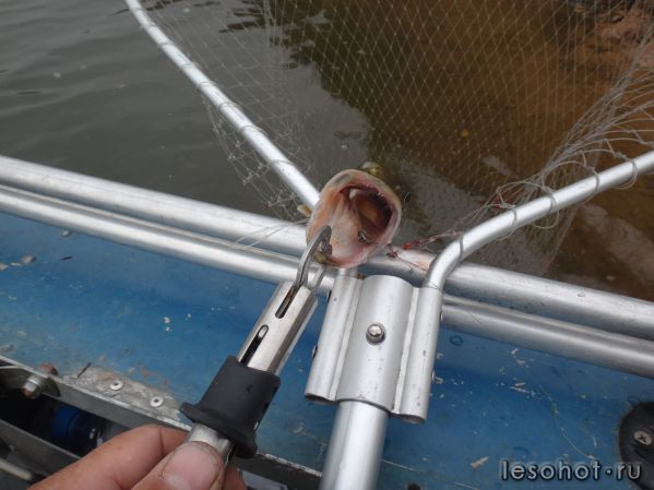 �������� 19.09.14 (4).JPG