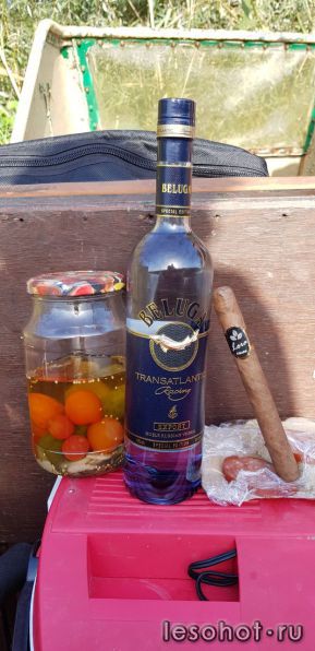 IMG-20170923-WA0017.jpg
