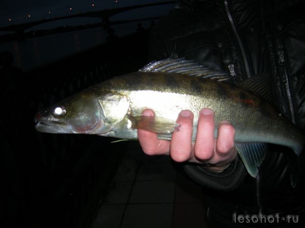 DSCN7247.JPG