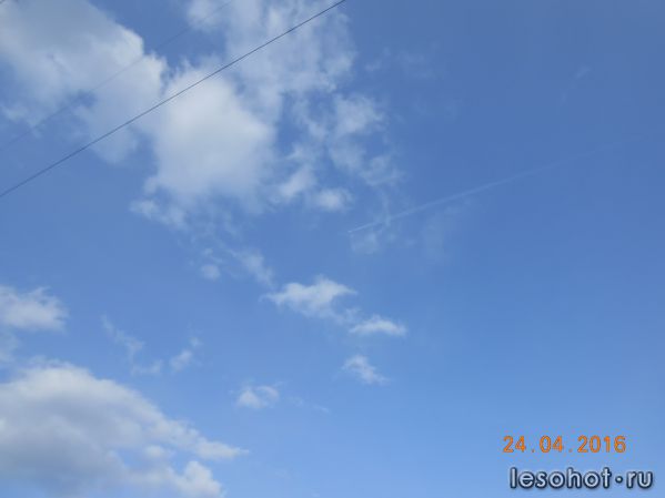 DSCN4963.JPG