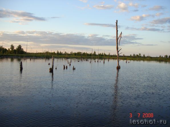   2008.