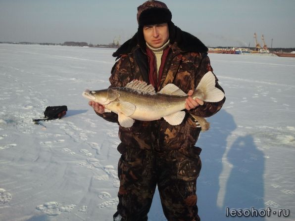 2012-02-11 15.26.21.jpg