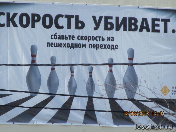 IMG_4370.JPG
