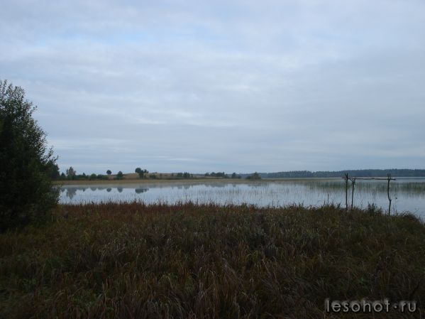 DSC03635.JPG