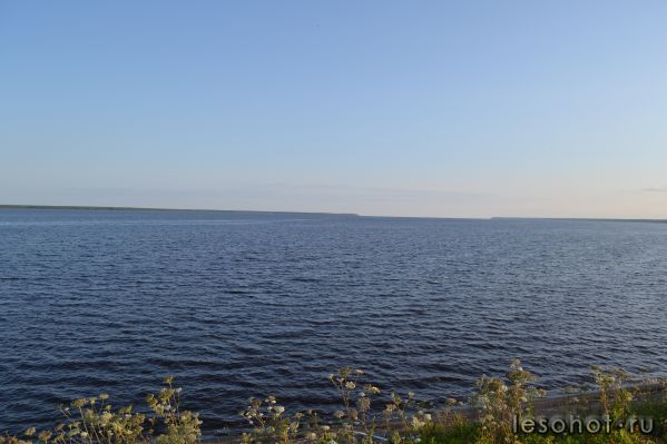 DSC_0117.JPG