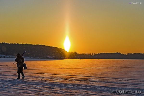 _DSC2966.jpg