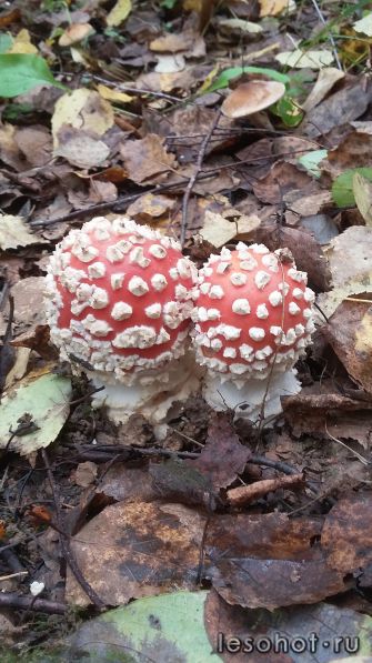 20160918_114446.jpg