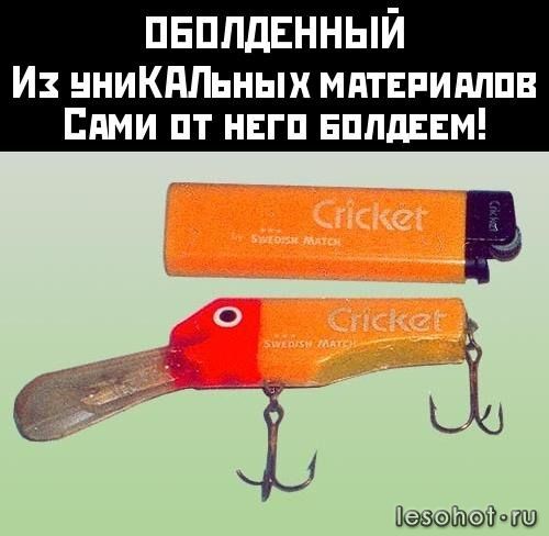 0_73968_d6c88e4d_L.jpg