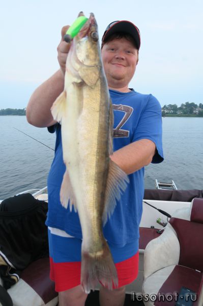 IMG_1742.JPG