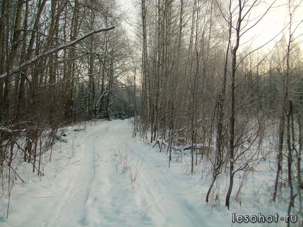 PICT0080.JPG