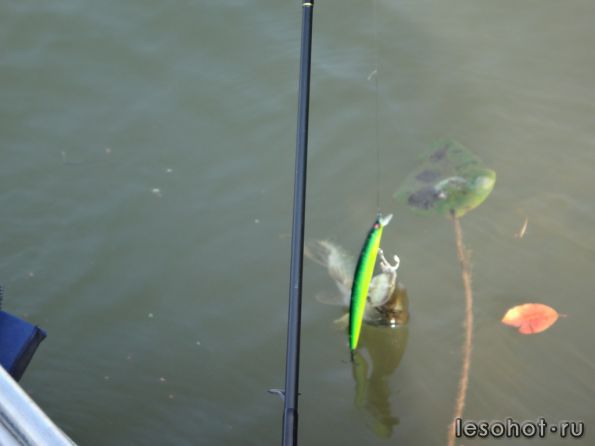 ����� 18.09.14 (4).JPG1.JPG