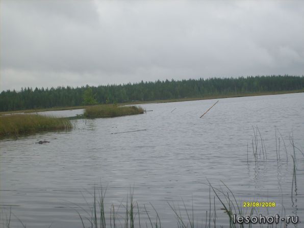 S7300190.JPG