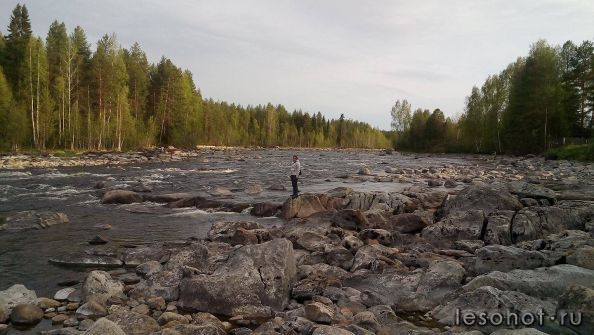 photo_00160.jpg