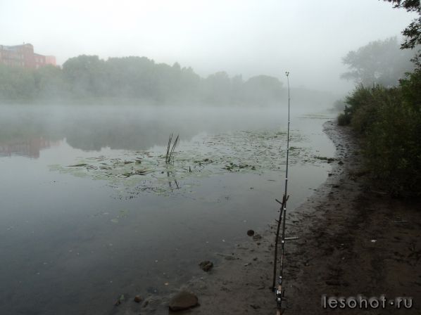 DSC01410.JPG