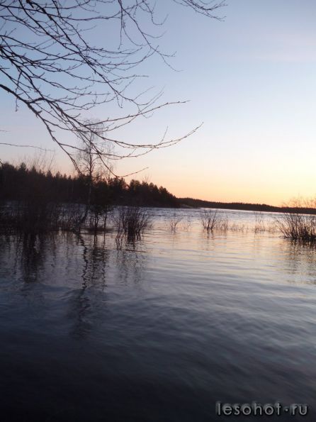 photo_00015.jpg