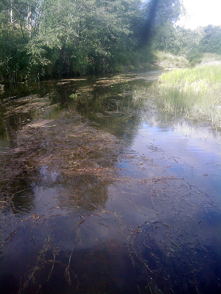 IMAGE_097_1.jpg