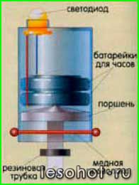 1384328311_2.jpg