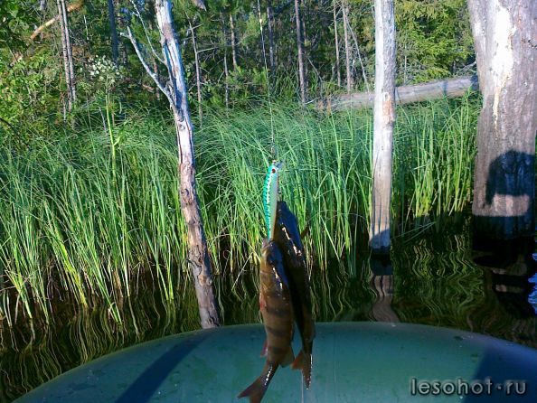 07072012099.jpg