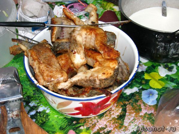 IMG_2257.jpg