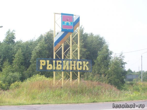 100_3177.jpg