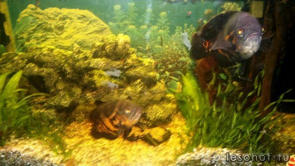 2012-03-09-072.jpg