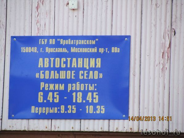 IMG_4369.JPG