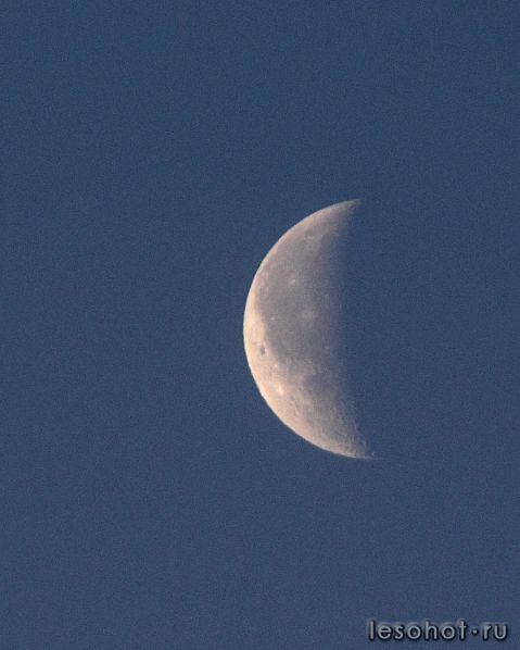 IMG_1190.JPG