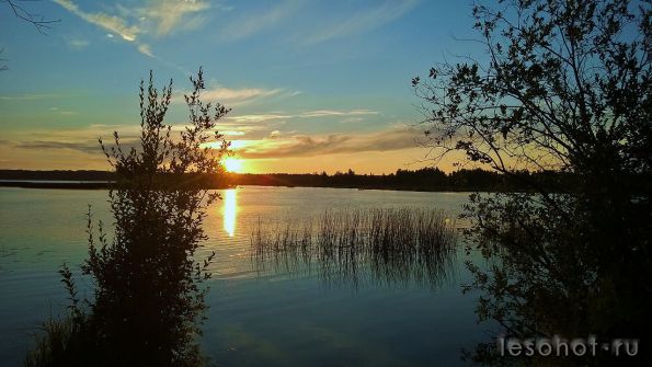 WP_20140730_023.jpg