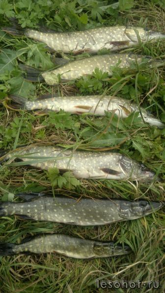 27092011012.jpg
