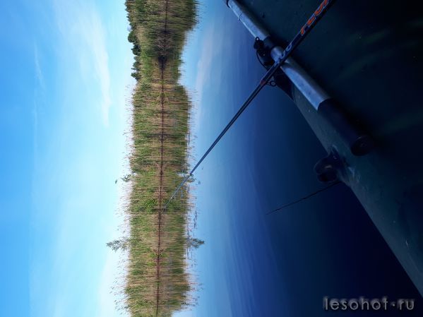 20180614_062101.jpg