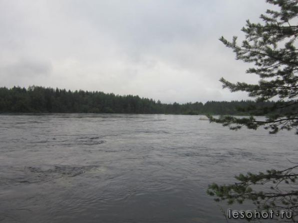 photo_00200.jpg