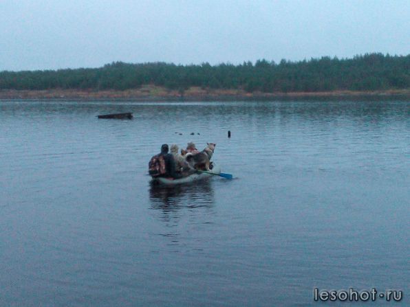 photo_00068.jpg