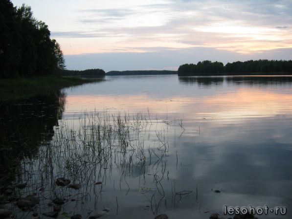 IMG_0266.JPG