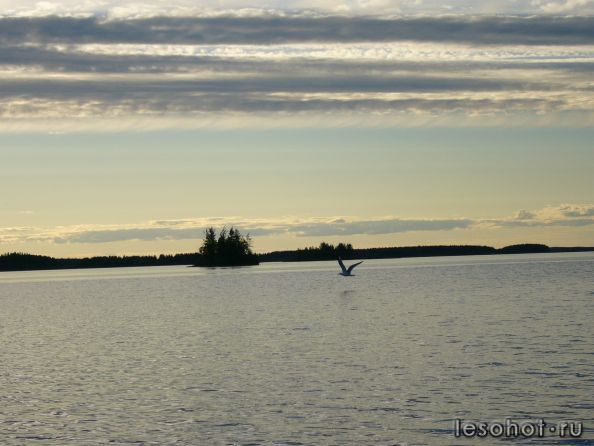 P1030042.JPG