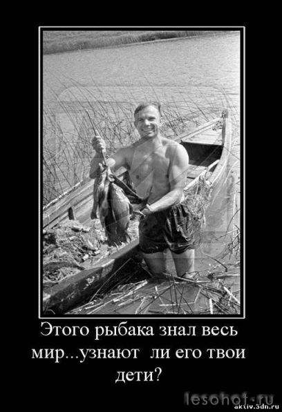 50623176.jpeg