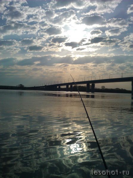 WP_001006.jpg
