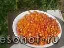photo_00001.jpg