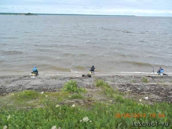 DSCN0955.JPG