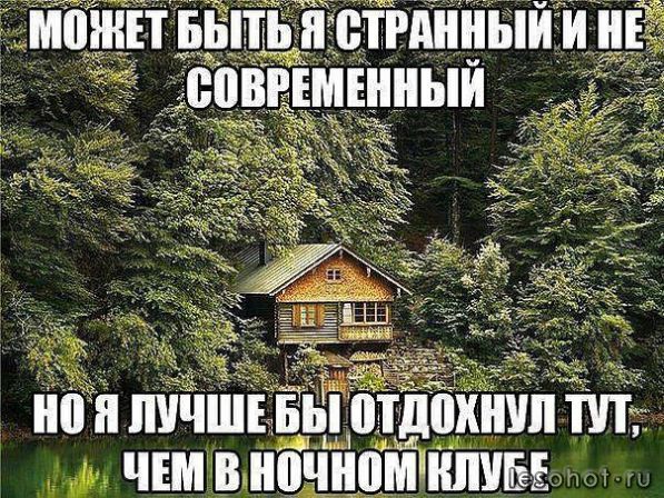 N8uQE-wGWy8.jpg