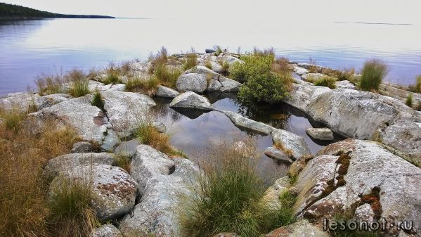 WP_20150708_054.jpg