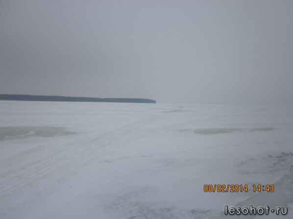   2014 049.jpg