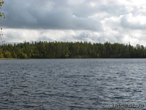 IMG_0990.JPG
