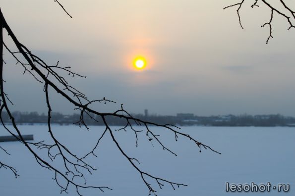 IMG_9472.jpg