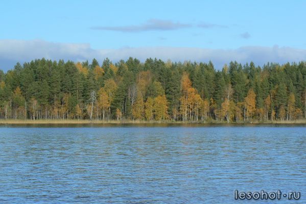 P1110155.JPG